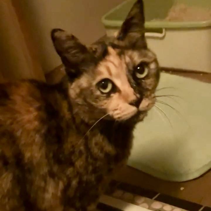 E31e1c4d c9c5 41a5 9acf 9dbfad90d241 1740858346703