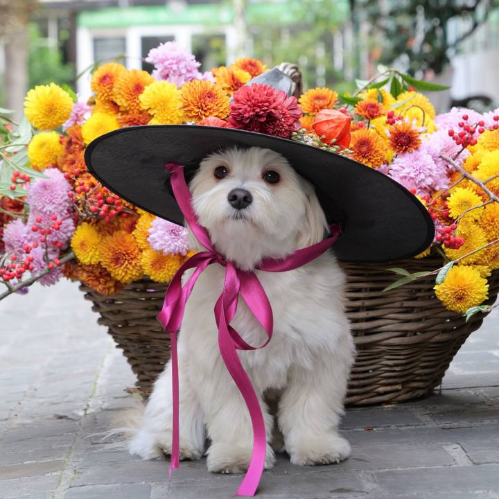 E31e25ec 41c2 4210 9f32 5fdd5b6c82ab 1762113267058