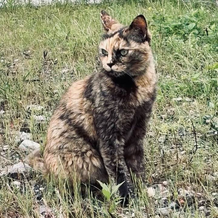 E31e6690 e4c2 4bac 8782 47598b180fe6 1747531854287