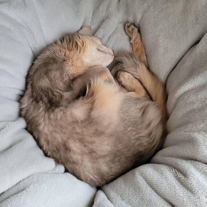 E31e67bd e5bf 4818 8ebb 7581737ac44c 1675312393433