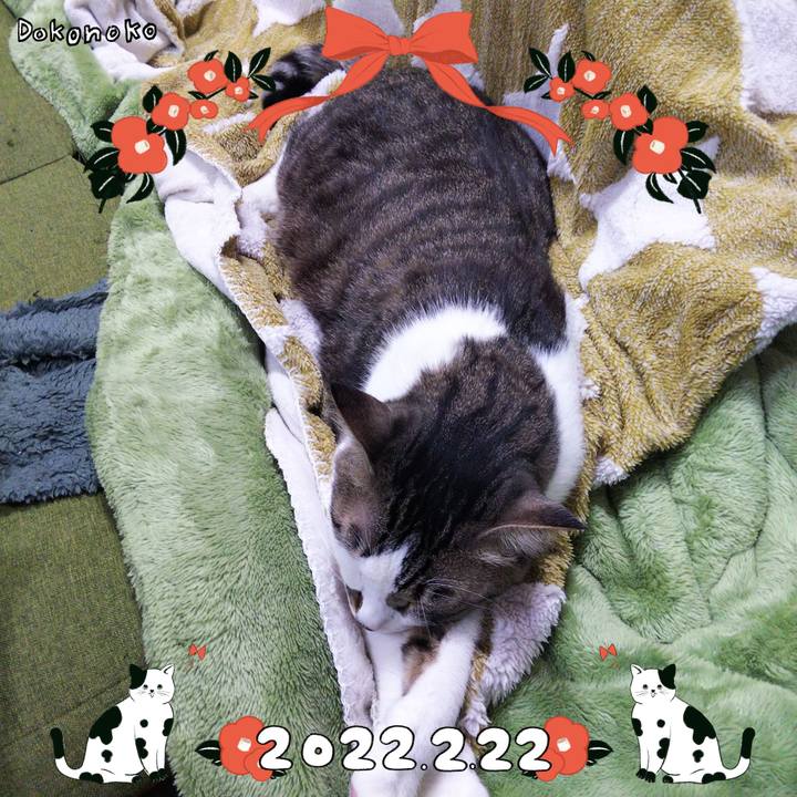 E31e6ab9 598b 4cd2 838e 3418e7760995 1645526629833