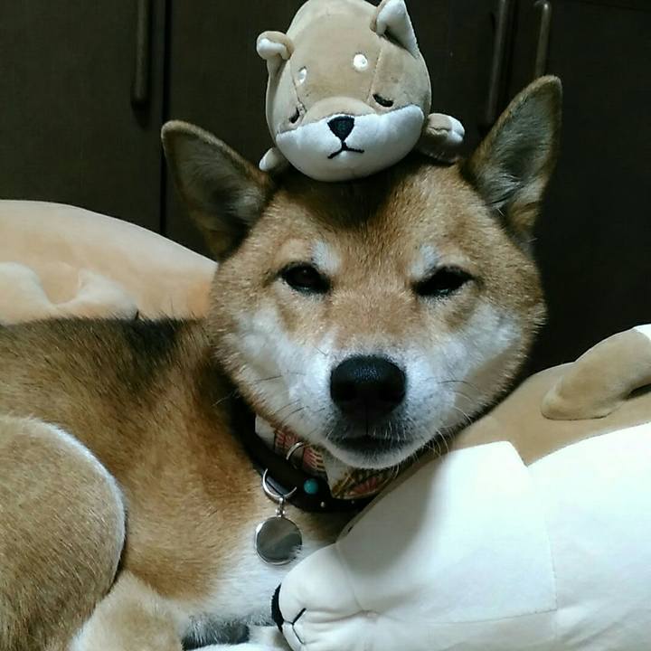 E31e7465 f299 42e0 b910 50cc2bd48eb4 1538185678787