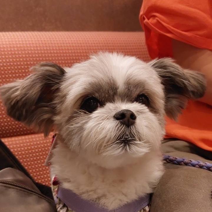 E31e88e6 bfd6 4a18 b9f3 253a2a907de6 1662985134530