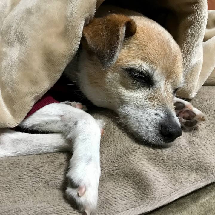 E31e9141 96c1 4981 bab2 107e9a2929f9 1647925389379