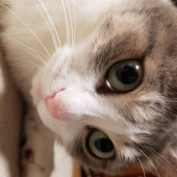 E31eb9ba 8472 4e87 92f2 ea45b9999af0 1616761575080