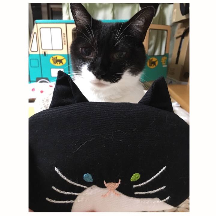 E31ef479 6bb7 47e7 b200 ef5f3a4018f0 1564841713974