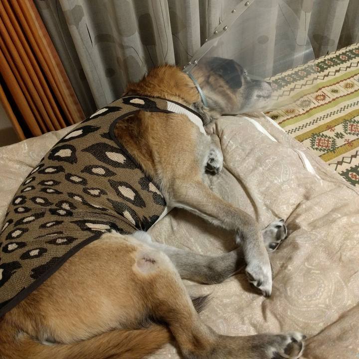 E31ef69c afe0 4c82 aaa5 3793618f5e03 1515595673410