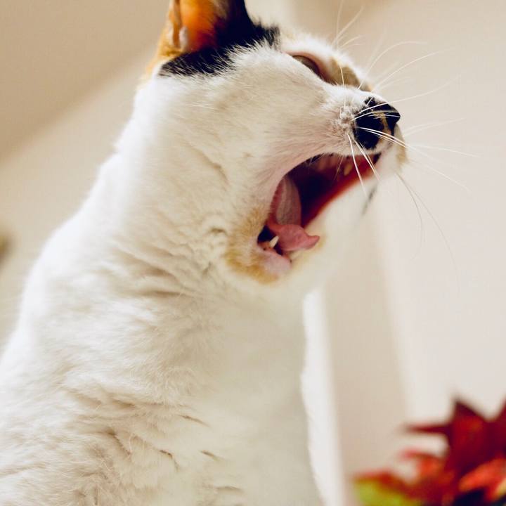 E31f0355 7e84 4c3a 8489 695bb033b887 1551676857006