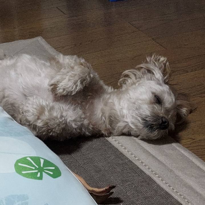 E31f134c 56ed 42ee b9f6 ab6fc1894369 1722150917653