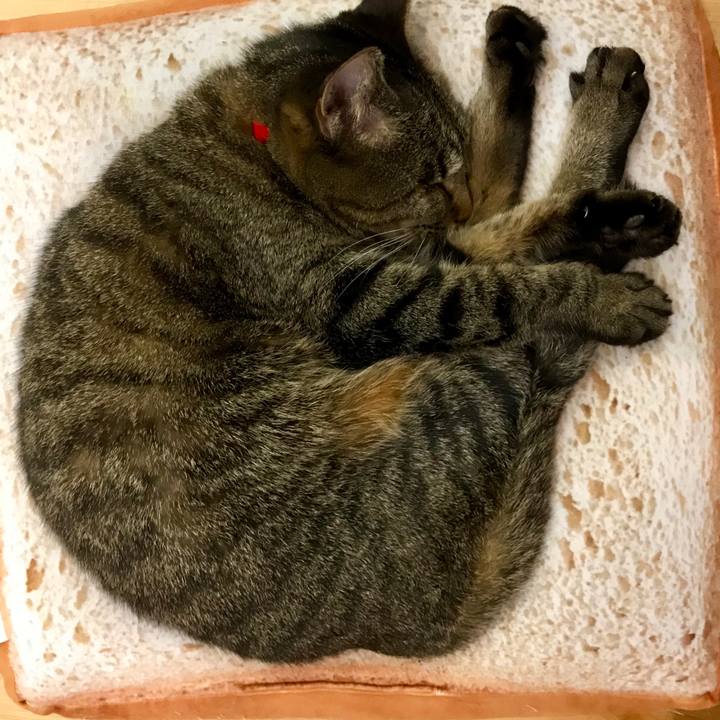 E31f4e88 5eb6 4565 8689 01b5efbcebe0 1550493101474