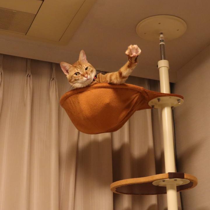 E31f5c46 cb32 4fc4 935c c39f57e3e294 1643071773023