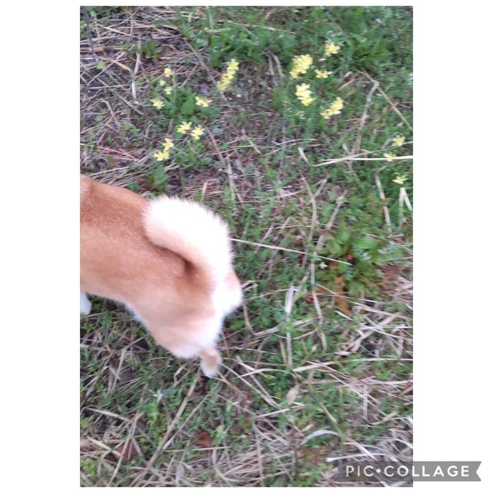 E31f76be ddb7 43e3 b0d5 34f2b422b39a 1775253140350