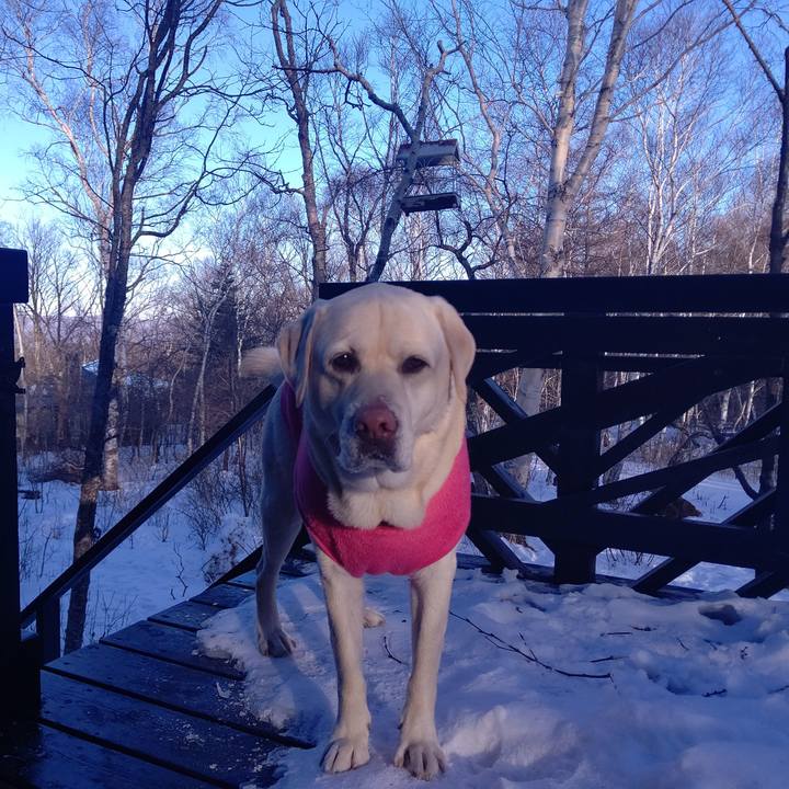 E31f89e6 706d 4f00 a19a 86849a58e58c 1672900113235