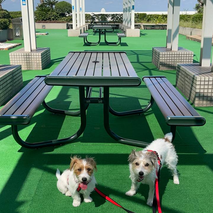 E31f9a26 095f 4a7c ab91 cae573a0e569 1758709898578