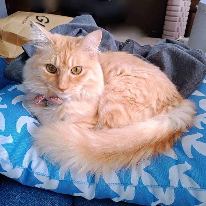 E31fa0ae 4358 4600 8618 6b9629ae8e85 1701660071642