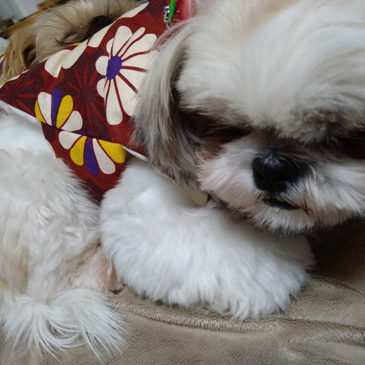 E31fbe05 6712 46aa 9fc8 2dcc94aba3f6 1607986285532