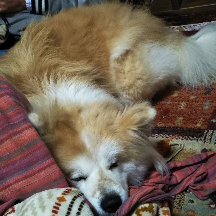 E31fe1dc 9fac 4be4 b6a8 ef42cd0b675c 1611481256803