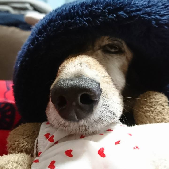 E32026a4 5df5 45ef 9165 cd0092ee7d3d 1513215369148