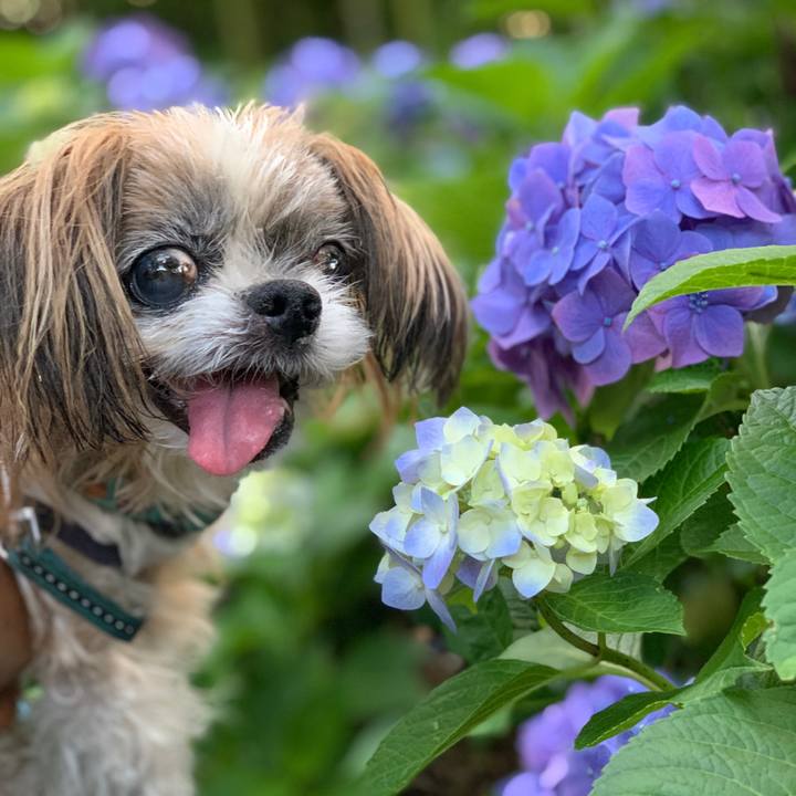 E3203630 bcd1 4fad 8506 5d1dbb69510c 1751891634221