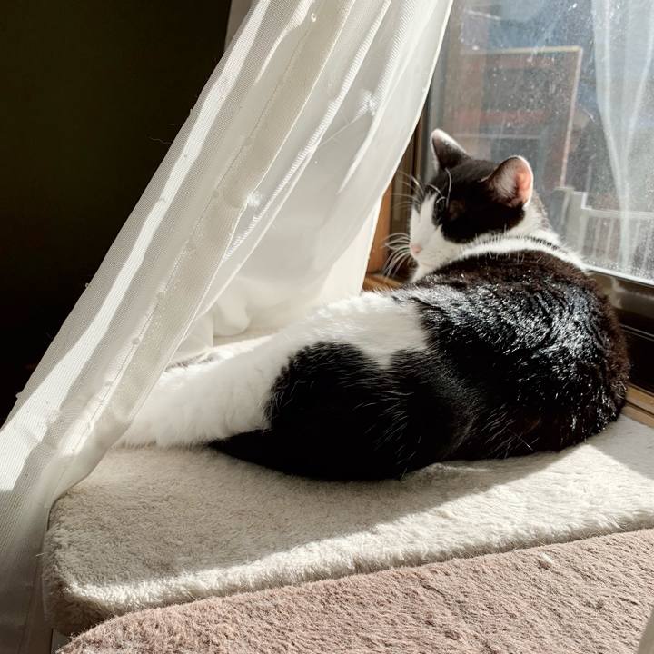 E3203a57 119c 4970 a9c1 2b74d3c52b24 1543196780371