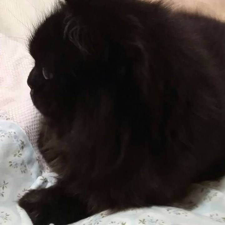 E3204bfe 08d1 4501 aa33 f3a748654471 1526302822510