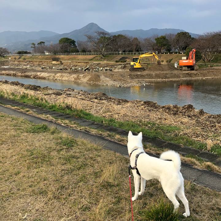 E3208211 d290 4242 a16e cf911215a470 1550280767229