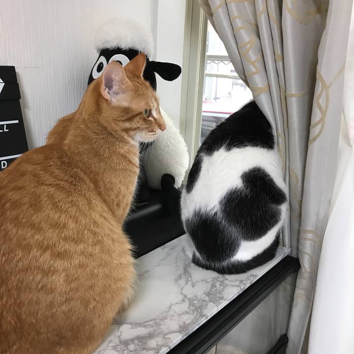 E320be25 e615 4f70 9c22 f654b3f6764d 1521504884714