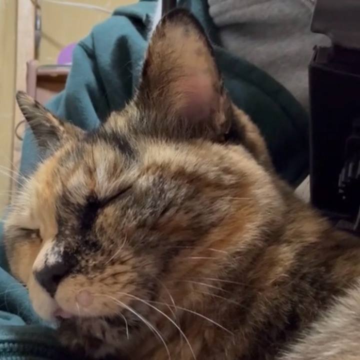 E320f832 7379 40f2 bebc 09751d93b7d5 1768461780738