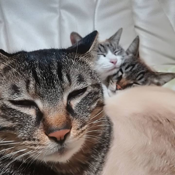 E32130d0 d521 42c6 bf7a c638f721c7ec 1520867593151