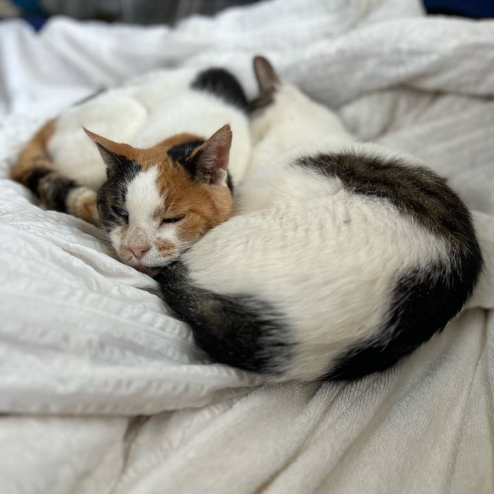 E3213996 212b 4940 a8c9 c4855b390e3c 1721367060679