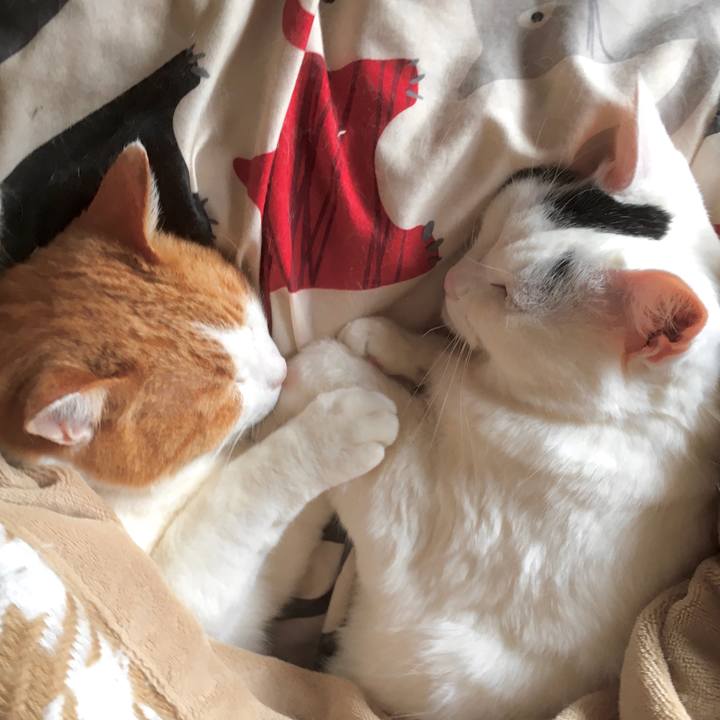 E3214bd1 92f4 45f5 aa04 9d2bbb58a8a6 1580871170649