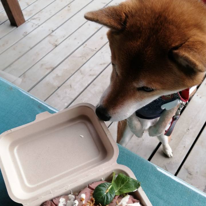 E3215c44 631d 4d36 a76c 2ae9579c2dfd 1643465252296