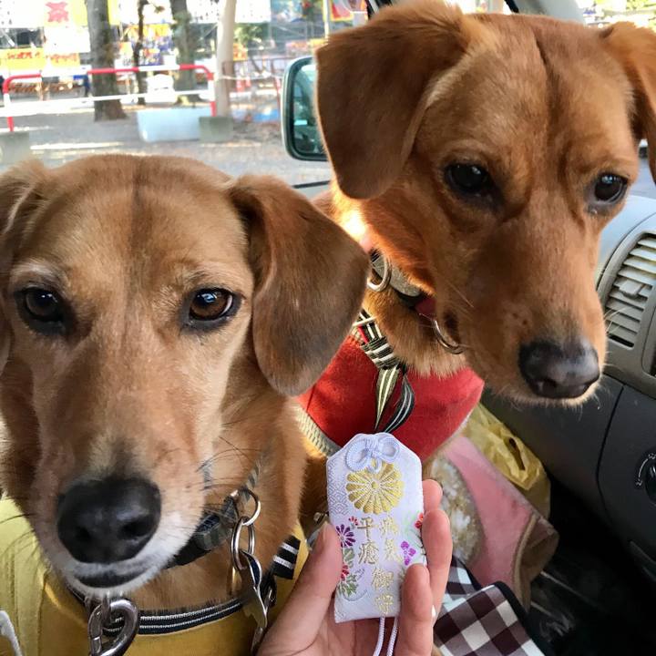 E3215f4b a0c1 4b78 bae7 c2abd738dd17 1545202340873