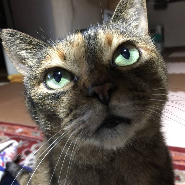 E32171fa b05c 4275 919e c60fc52d58fb 1561056009004