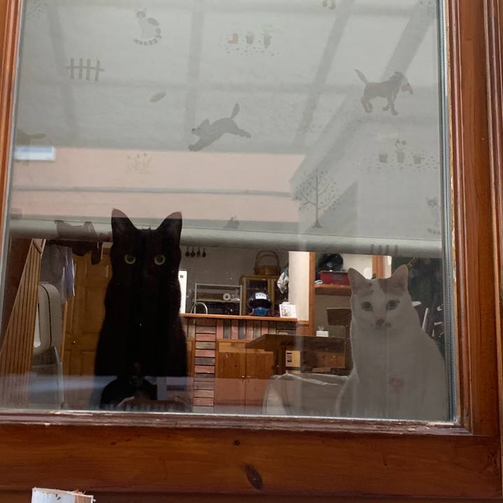 E321ad18 d188 41da a50f 2ea1cd53ea8b 1665351732088