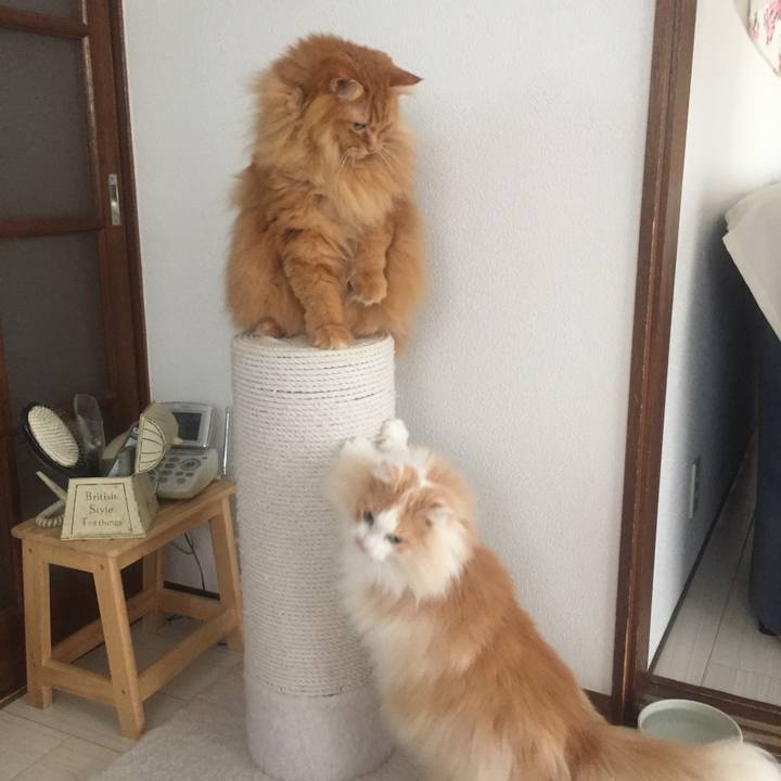 E321c967 1691 47e2 be65 83f94a7a4b44 1542666220937