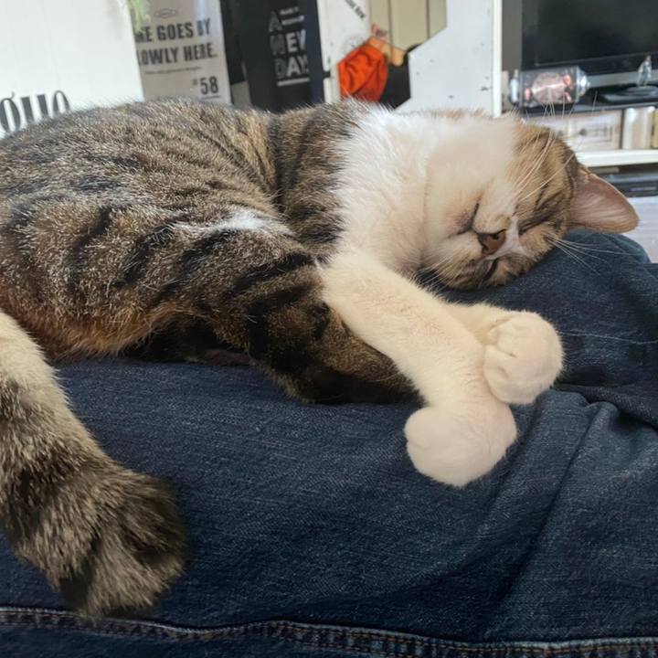 E321e394 2f21 4a1a 8ae3 8edce0b53df6 1619938233348