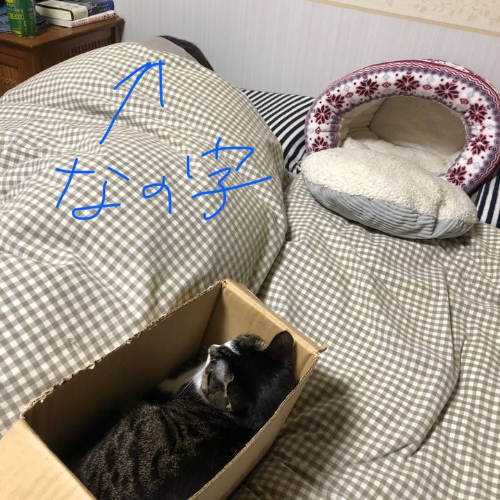 E3223108 ab02 4384 a811 4c9fea94e853 1607612190044