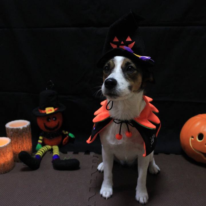 E3223225 ca0b 4c74 aa1f 256c88058559 1540813997607