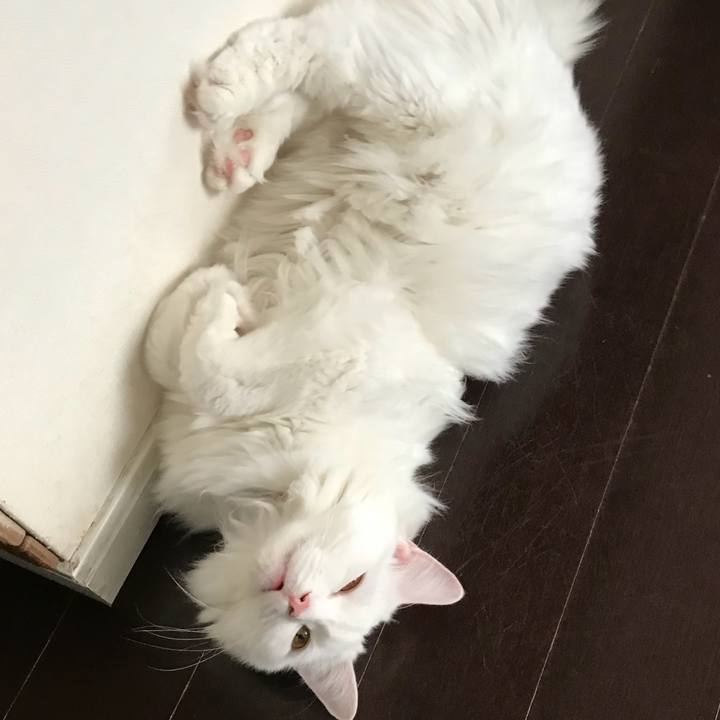 E3224346 e3f6 4e11 a9f9 ee82305b2890 1533996772693