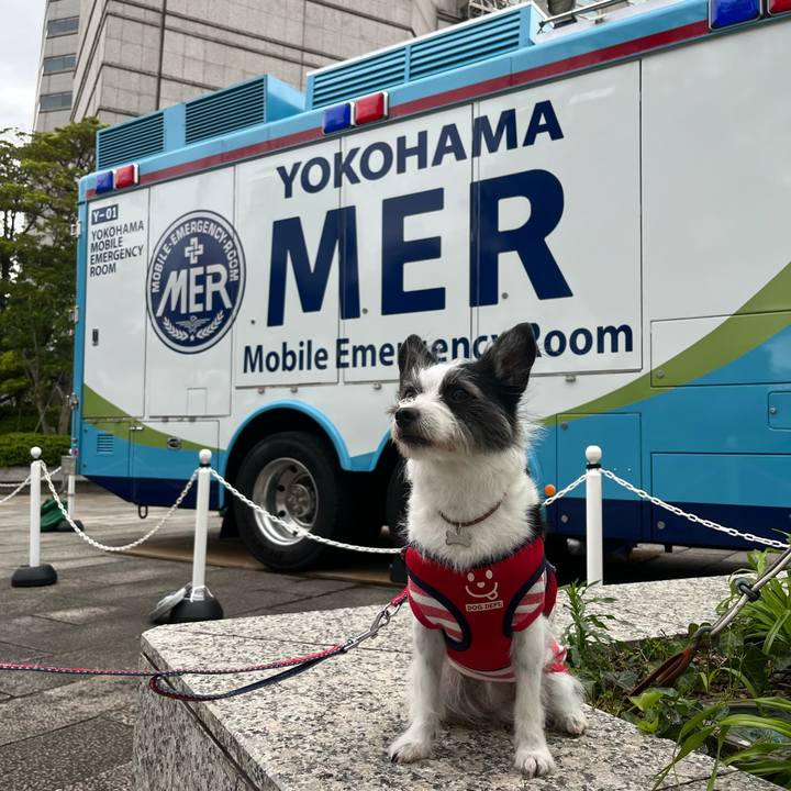 E3225304 9743 4bc4 b13a d7cbb31a9f9c 1682838725665