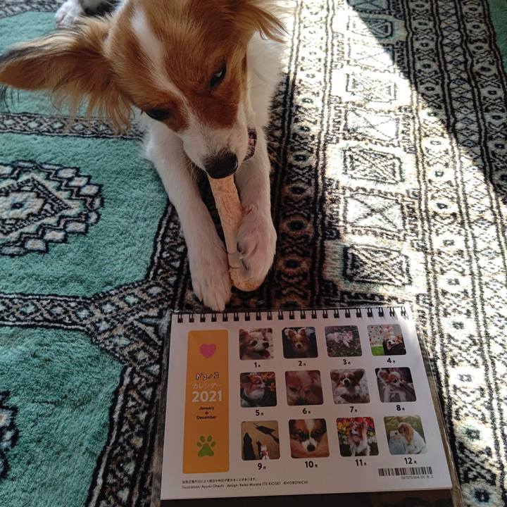 E3226c69 1973 4e2d 9b5b e225c15c9ad5 1607816706208