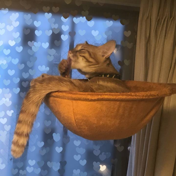 E3227559 b703 40a8 8927 6d111bc52c2e 1634199568504