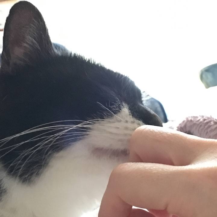 E3228ba7 d831 48f2 868b 21dabbec62a7 1519540191658