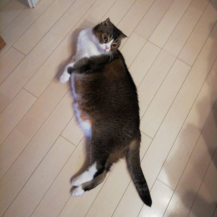 E32294a8 4c7c 40b2 ad00 d82bc8fe46d3 1735529472391