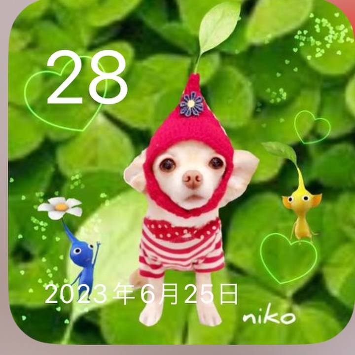 E32298c8 3753 4178 af6b c4600a3ab57d 1719562766290