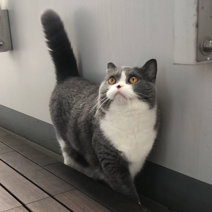 E322a685 1bfe 41c9 ba94 99d818b11ac1 1540299863966