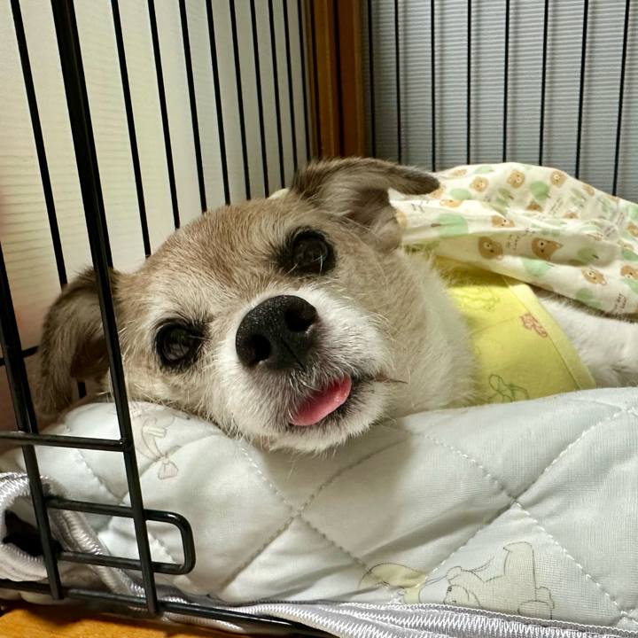 E322e14f f59e 4db8 b6f4 b1e1b3e43fff 1726113006044