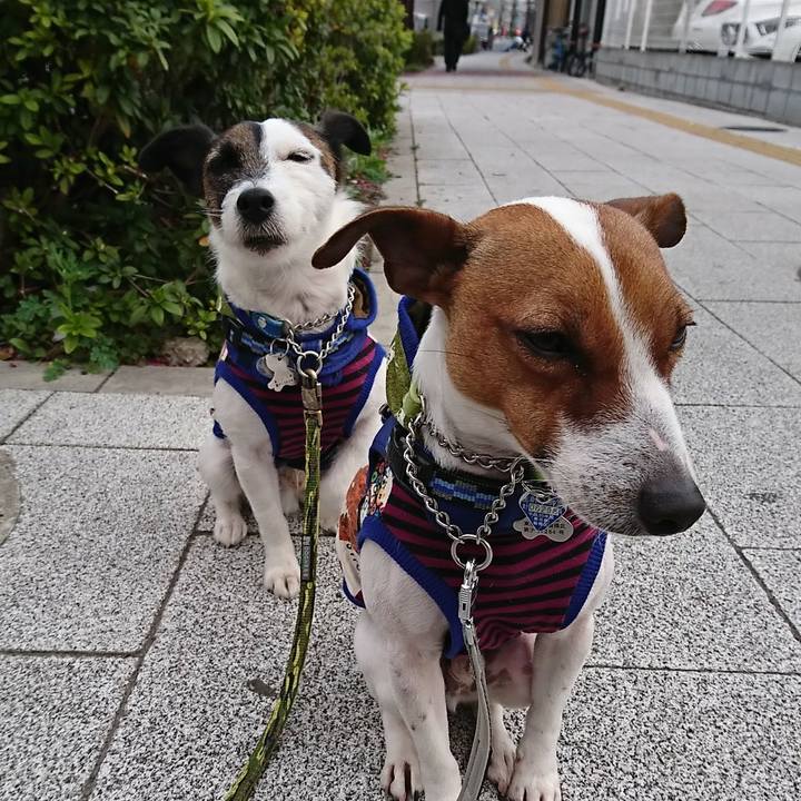 E32306ff db1f 42ae a7f4 d3f101fa8293 1553551940246