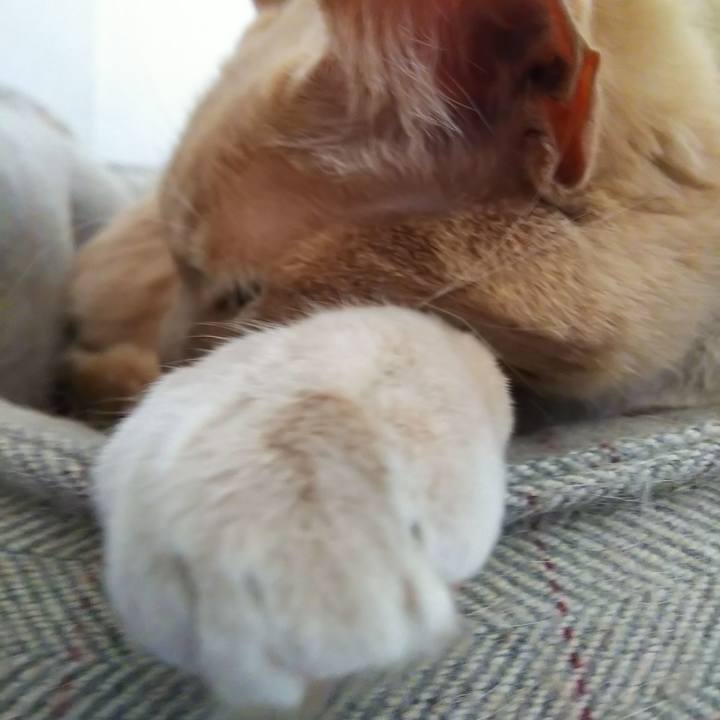 E32322e6 41fb 466a bcc9 6e8e23e06380 1670057999812